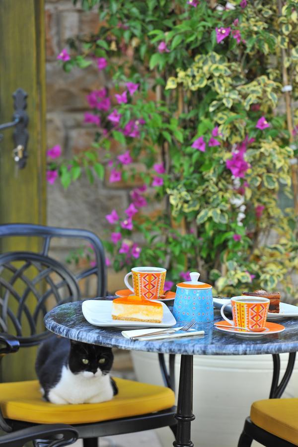 Petrino Gökçeada Hotel&Kitchen İmroz Exteriör bild